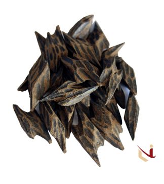 تايقر النخبة B